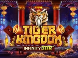 Tiger Kingdom icon