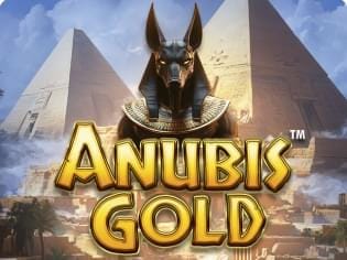 Anubis Gold icon