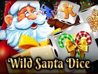 Wild Santa Dice icon
